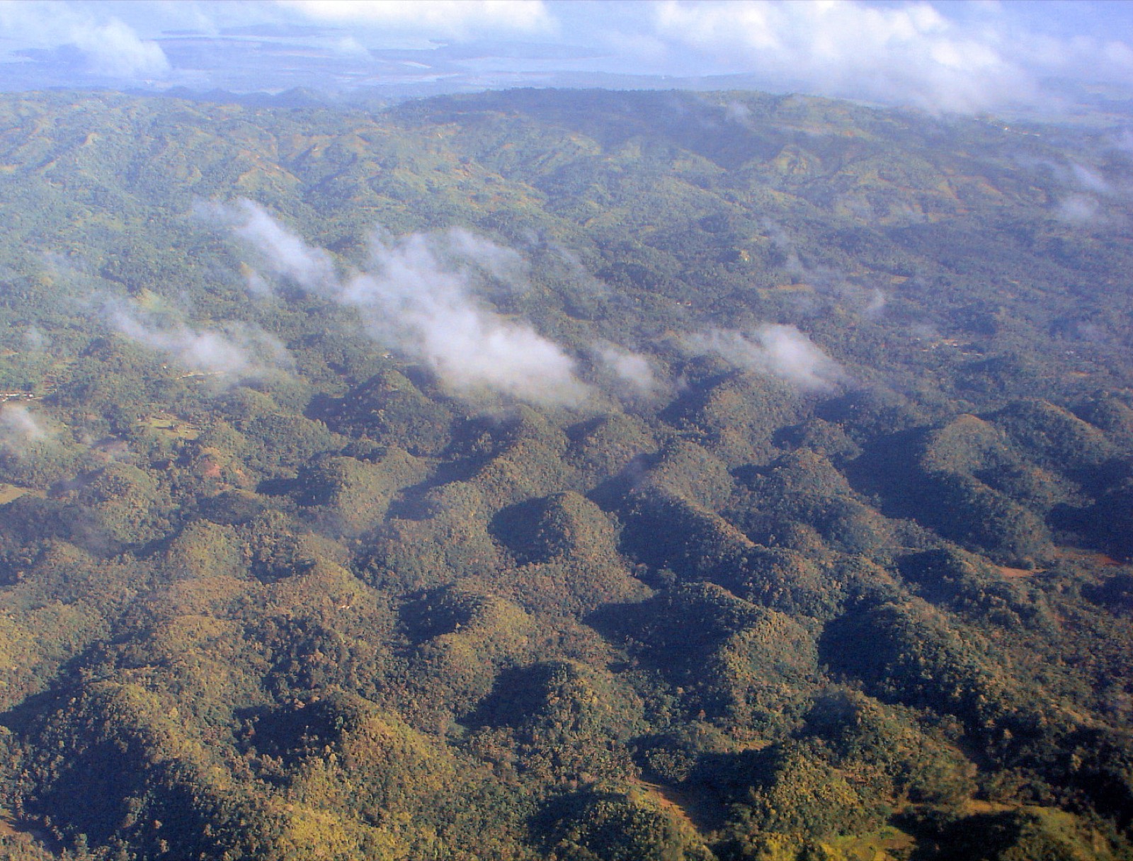 Chocolate Hills in Bohol
